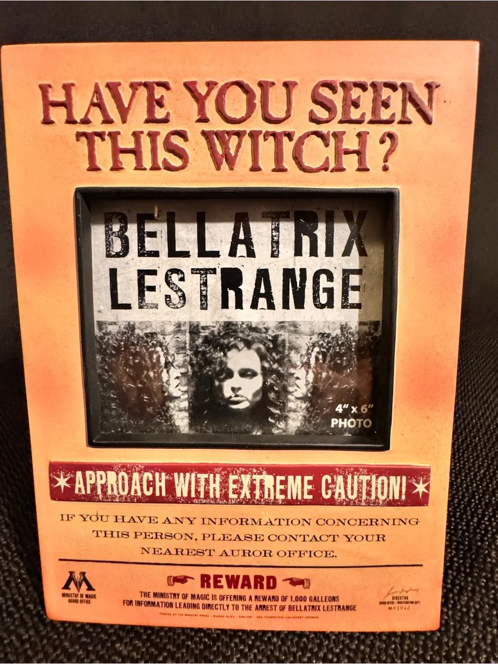 Harry Potter Bellatrix Lestrange Have You Seen This Witch? 4x6 Picture Frame